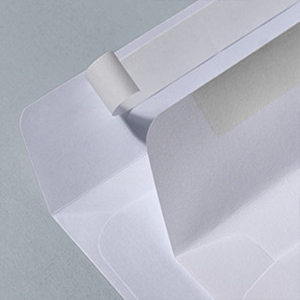 Seal Options Envelope Detail