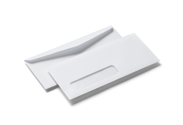 Custom 9 x 12 Catalog Envelopes with Peel & Stick Adhesive