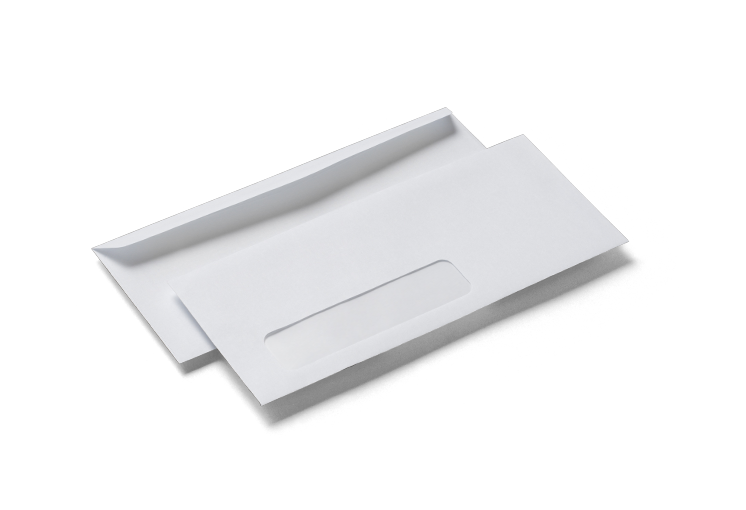 Custom Printed 9 x 12 Booklet Envelopes with Gum Adhesive